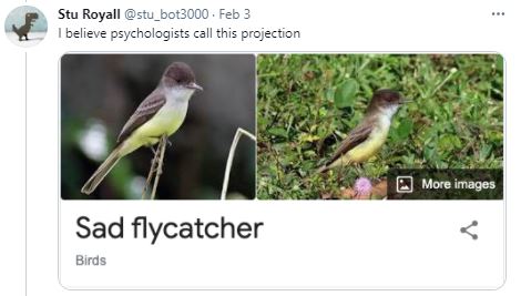 Birds - Ornithologists - Sad Flycatcher.JPG